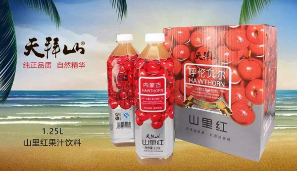 天拜山沙棘汁/沙果汁/蓝莓汁/1.25X6口味纯正无添加剂齐市市区内免费送货批发优惠