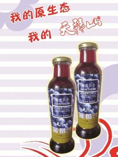 天拜山沙果汁/蓝莓/300mlX15口味纯正无添加剂齐市市区内免费送货